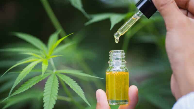 Quel CBD faut-il pour l’arthrose ?