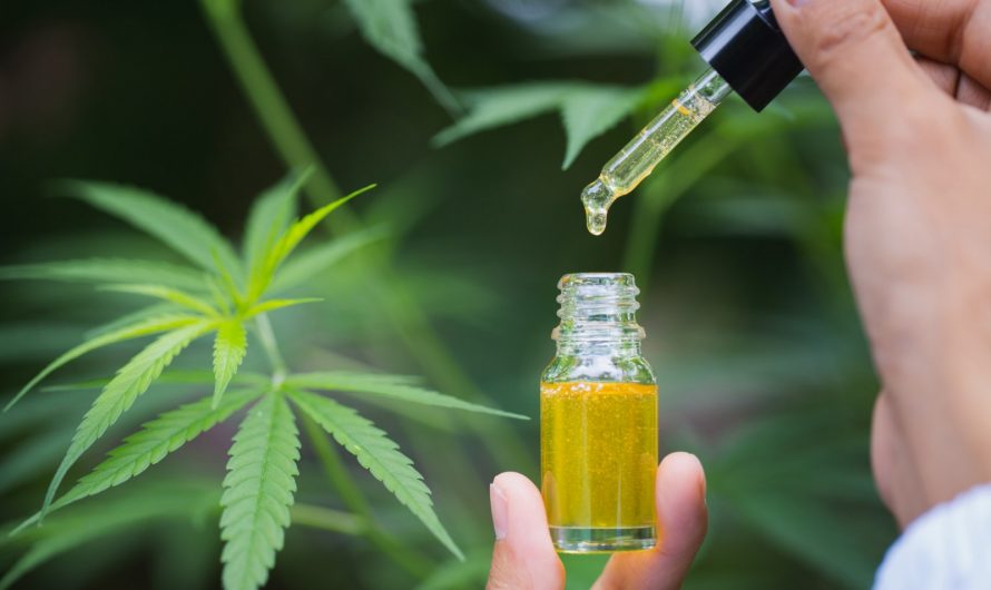 Quel CBD faut-il pour l’arthrose ?